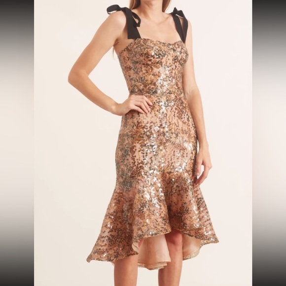 Silvia Tcherassi Helena Dress - Picture 2 of 3